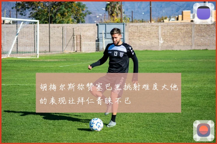 胡梅尔斯称赞塞巴里挑射难度大他的表现让拜仁青睐不已