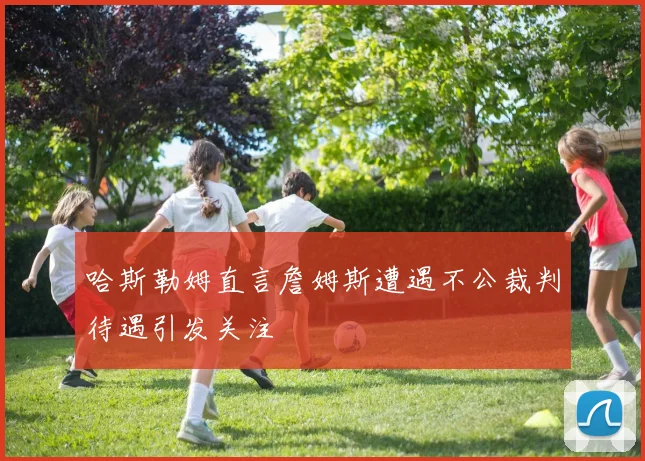 哈斯勒姆直言詹姆斯遭遇不公裁判待遇引发关注