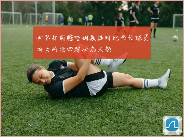 世界杯前瞻哈姆数据对比两位球员均为两场四球状态火热